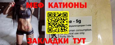 прущие грибы Дубна