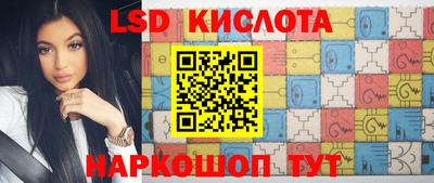 прущие грибы Дубна