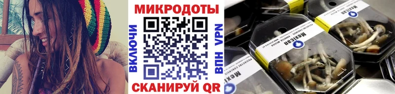 блэк спрут как войти  Нурлат  Псилоцибиновые грибы MAGIC MUSHROOMS 