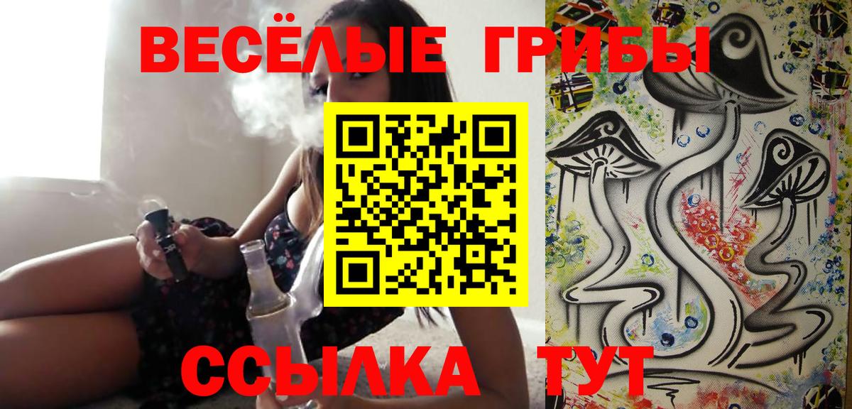 Псилоцибиновые грибы ЛСД  Нурлат  Псилоцибиновые грибы Psilocybine cubensis 