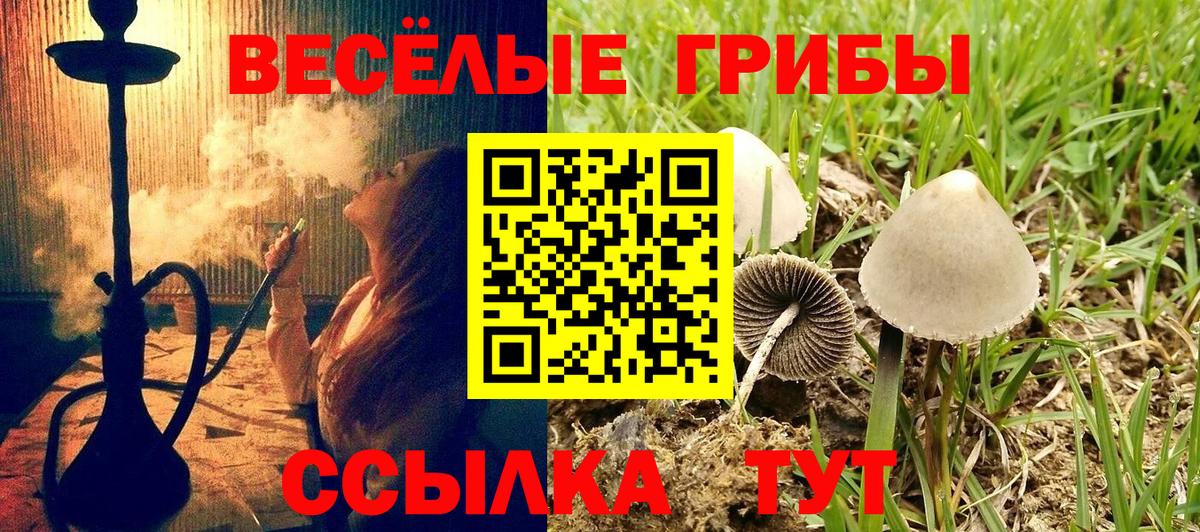 Псилоцибиновые грибы Psilocybine cubensis  Галлюциногенные грибы мухоморы  Вход с VPN  Нурлат 
